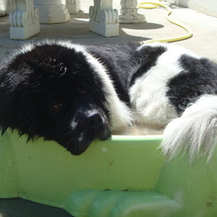 22 mois, encore et toujours dans l'eau...