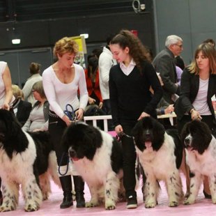 Expo Bourg-en-Bresse, avec papa et fère et soeur