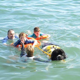 Croisière Terre-Neuve