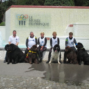 Démonstration Musée Olympique de Lausanne