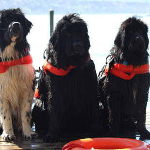 Avec Alsaka (centre) et sa soeur Haukea