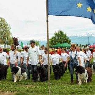 Rencontre internationale du Terre-Neuve Rolle