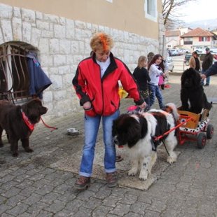 Carnaval de Genolier