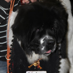 Expo Fribourg : meilleur très jeune !