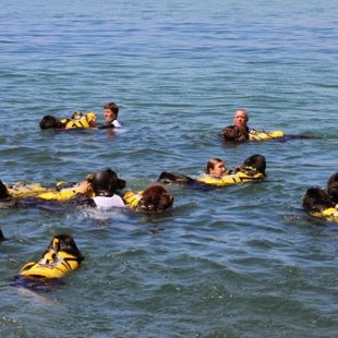 Hubert & ses potes de l'Amicale 