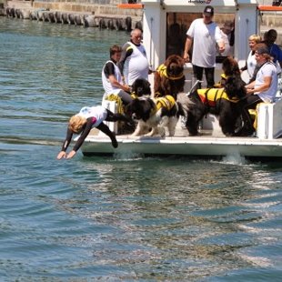 Fête du sauvetage d'Ouchy