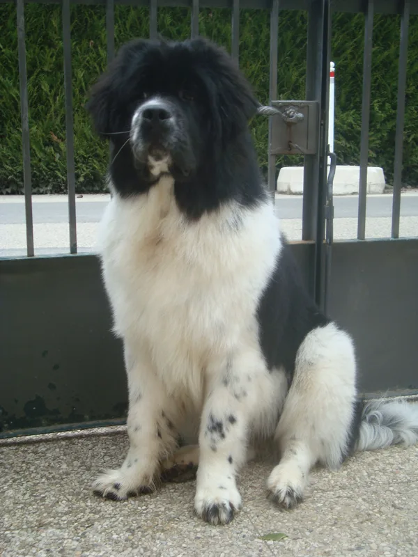7 mois
