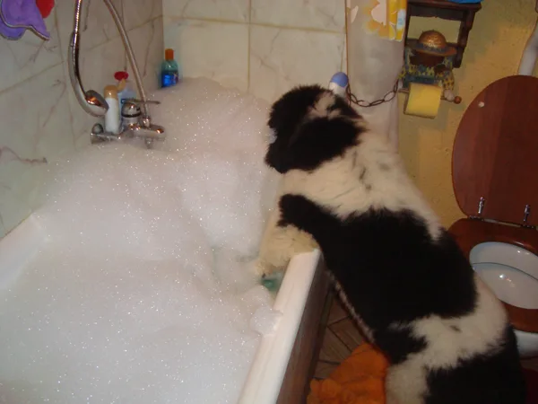 C'est chaud... mais c'est de l'eau...