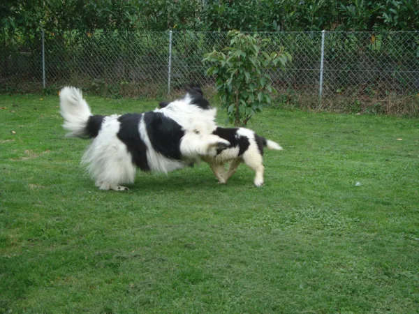 Avec sa maman d'adoption, Muffin