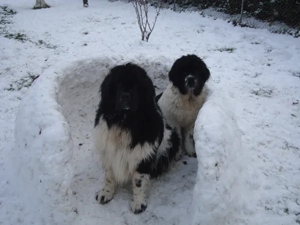 1ers pas sur la neige