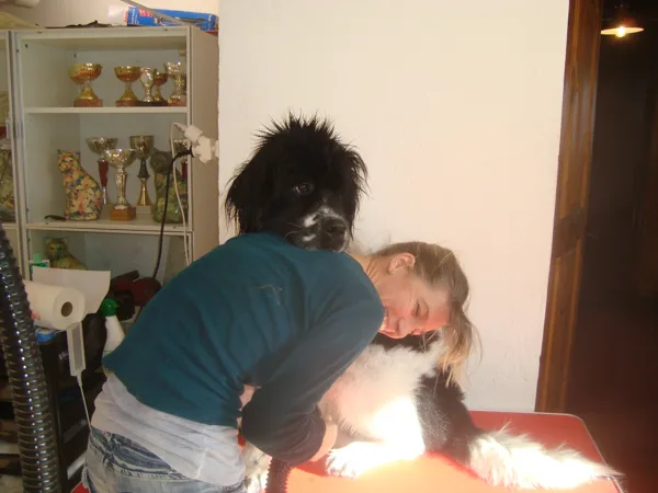 1er toilettage avec Tata Tacha