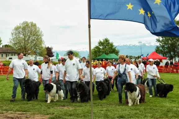 Rencontre internationale du Terre-Neuve Rolle