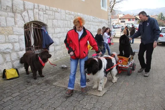Carnaval de Genolier