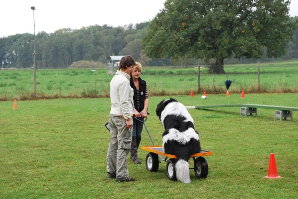 Concours Mobility