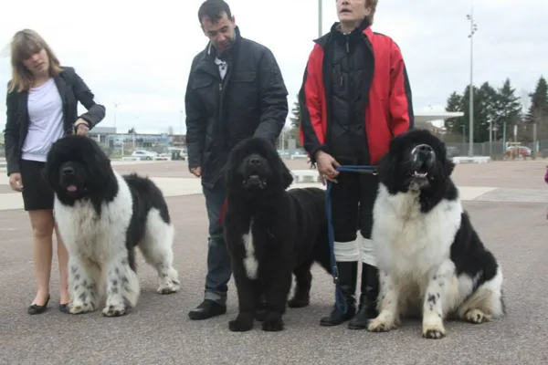 Hubert avec papa et maman