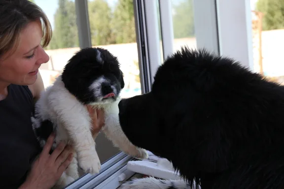 Hubert et sa Maman Etoile